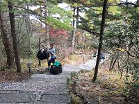 IMG 6913 2  porters have the right of way